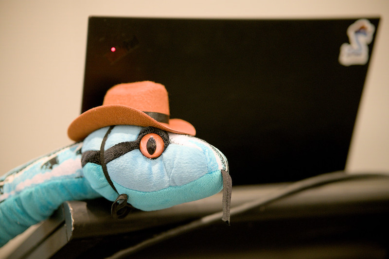 Kiwi PyCon 2025 in 37 Days